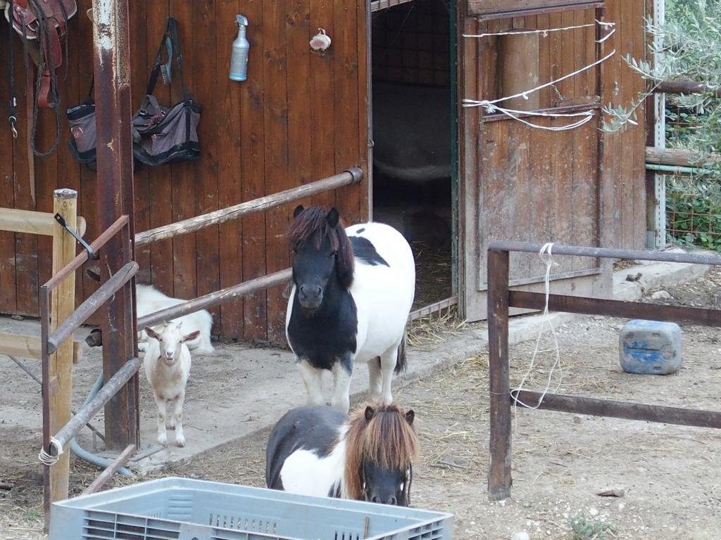 Country House Poggio Fiorito Ασίζη Εξωτερικό φωτογραφία